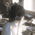 我的相册