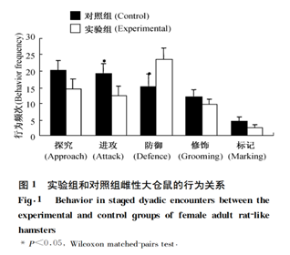 大鼠行为实验数据图
