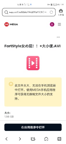 Screenshot_20250804_233902.jpg